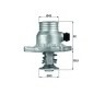 MAHLE TM11105