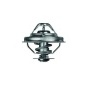 MAHLE TX3888D
