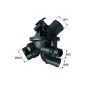 MAHLE TM2197