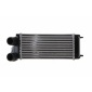 MAHLE CI166000S