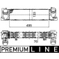 MAHLE CI393000P