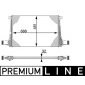 MAHLE CI220000P