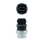 MAHLE TSE24