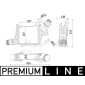 MAHLE CI541000P