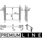 MAHLE CI136000P
