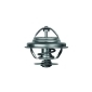 MAHLE TX2180D