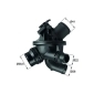 MAHLE TM21103