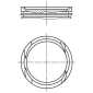 MAHLE 0100501