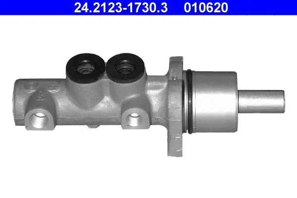 24212317303 Tandem Master Cylinder