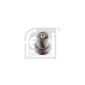 FEBI BILSTEIN 13609