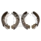 02910 FEBI BILSTEIN BREMSBACKENSATZ