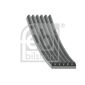 28930 FEBI BILSTEIN KEILRIPPENRIEMEN