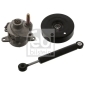 15923 FEBI BILSTEIN Ролик натяжной приводного