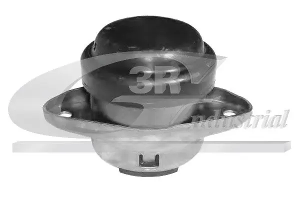 3RG 40237 Подвеска, двигатель
