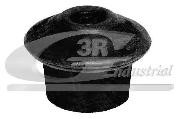 3RG 40703 Подвеска, двигатель