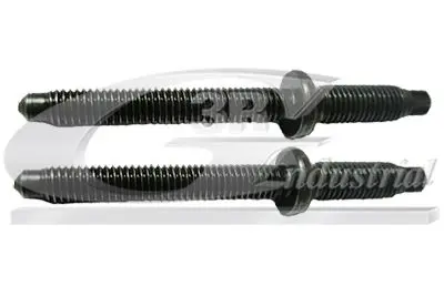 3RG 83295 Screw, injection nozzle holder