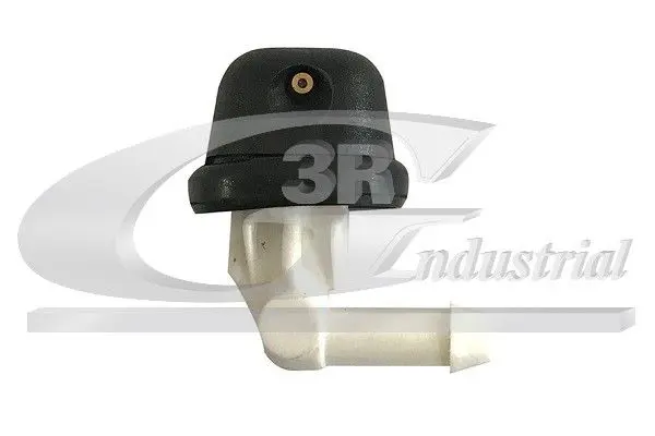  3RG Washer Fluid Jet, window