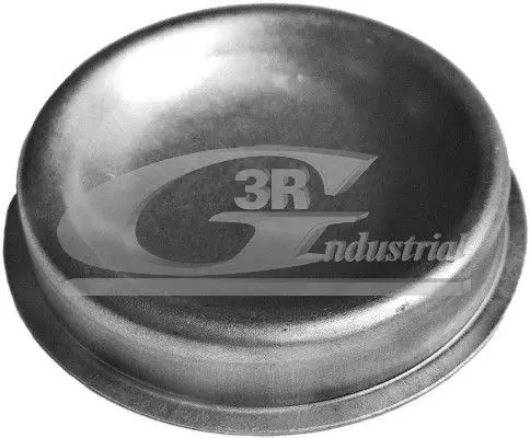 3RG 80226 Крышка, подшипник ступицы