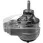 3RG 40316