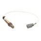 ENGITECH ENT600036