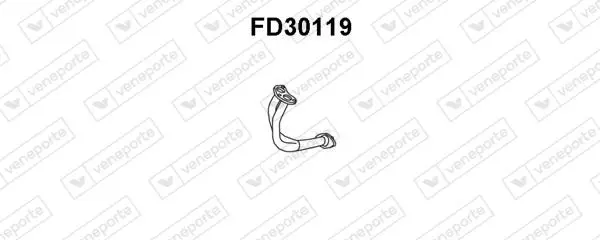FD30119 