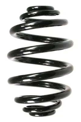  Spidan 
