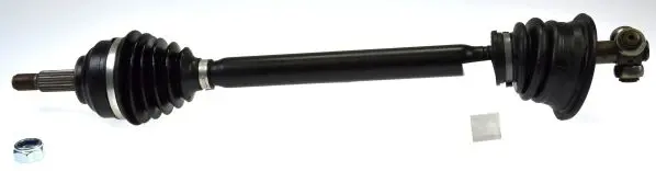  Spidan 