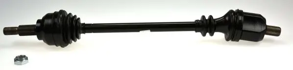  Spidan 