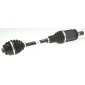 SPIDAN 25751
