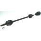 Spidan 25963