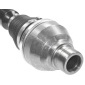 Spidan 25663