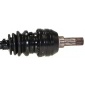 Spidan 24079