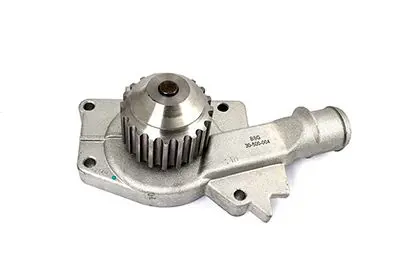 BSG30500004 