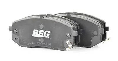 BSG40200054 