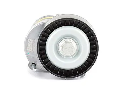 BSG 90-615-029 Ролик приводного ремня VW Polo