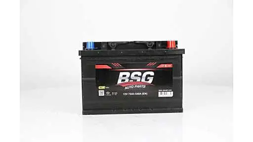 BSG99997010 