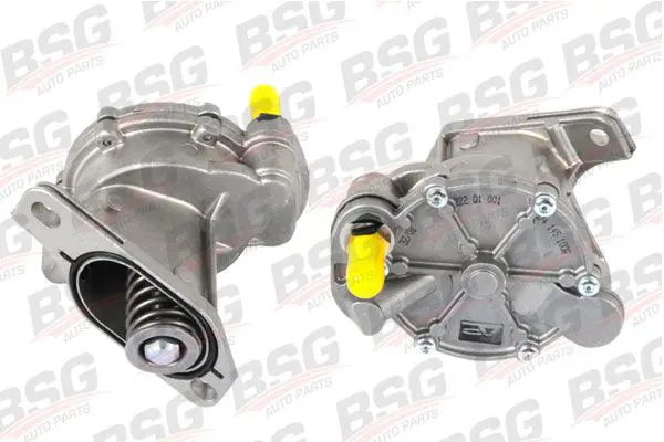 BSG60235003 
