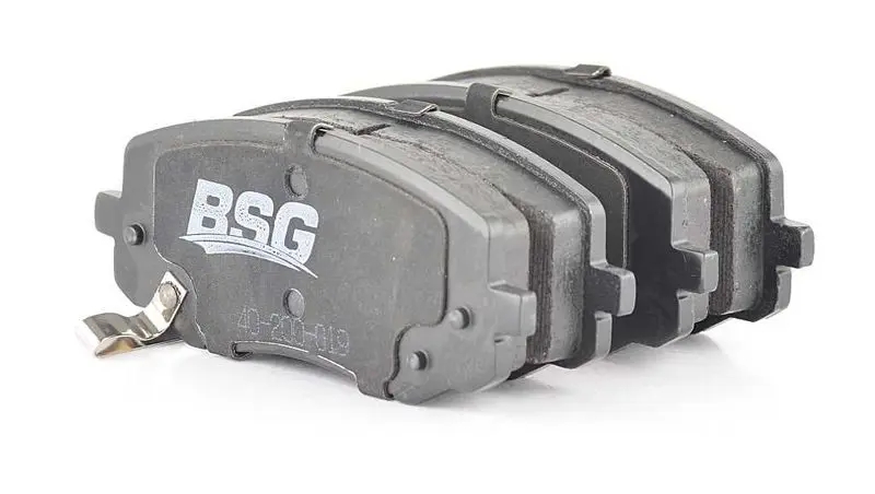 BSG40200019 