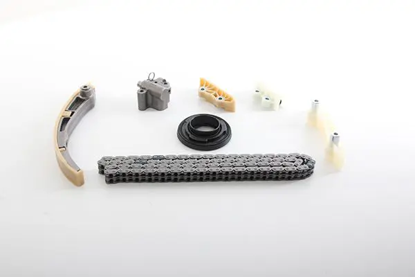 BSG 30-102-004 BSG Цепь ГРМ в сборе