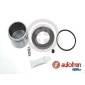 AUTOFREN D42642C