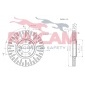 RAICAM RD00130