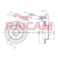 RAICAM RD01003