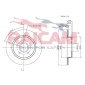 RAICAM RD00956