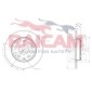 RAICAM RD01229