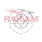 RAICAM RD00250