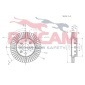 RAICAM RD00541