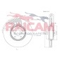 RAICAM RD01084