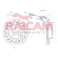 RAICAM RD01431