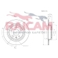 RAICAM RD01170