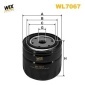 WL7067 